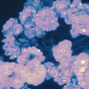 非洲巨大进入亚洲身体
