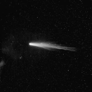 非洲巨大进入亚洲身体
